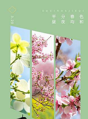 绿色小清新平分春色春分节气海报