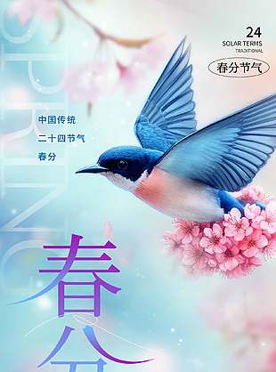 蓝色花卉装饰春分节气长图海报设计