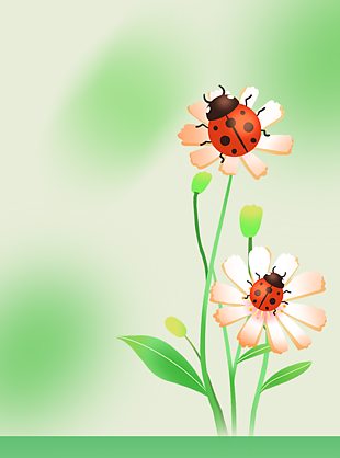 春天小清新甲壳虫绿植背景设计