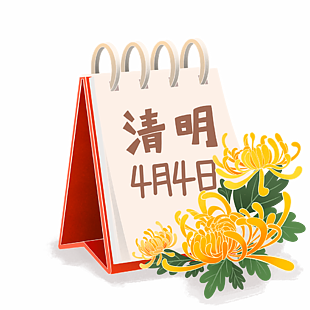 清明日历菊花传统节日插画设计