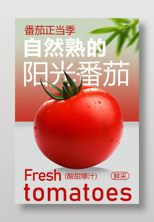 酸甜爆汁阳光番茄新鲜水果海报