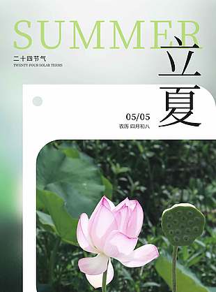 立夏节气荷花莲蓬摄影图背景简约海报设计