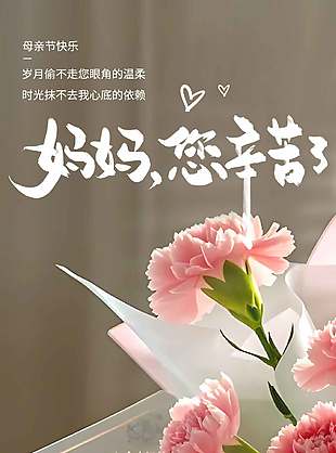 妈妈您辛苦了母亲节快乐康乃馨花束海报