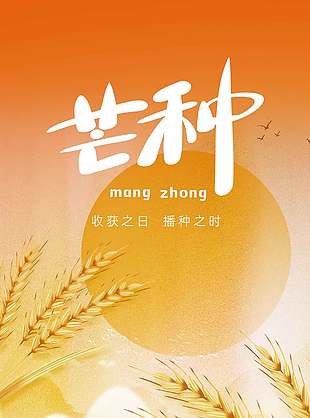 收获之日播种之时芒种节气简约长图海报