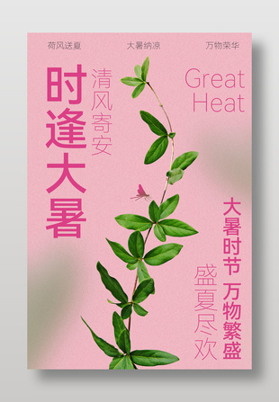 时逢大暑节气宣传粉色小清新海报