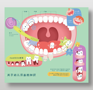关于幼儿牙齿的知识儿童知识科普插画