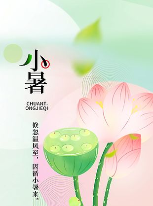 小暑节气植物花卉插画简约海报