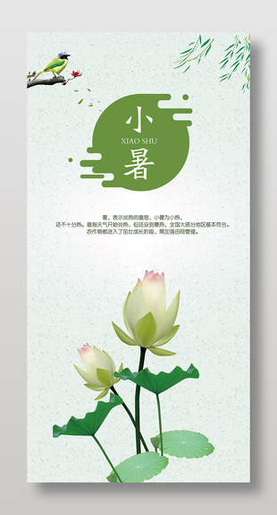 小暑节气宣传简约植物元素海报设计