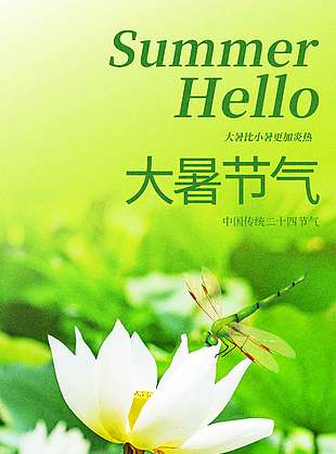 大暑节气荷塘背景绿色海报设计