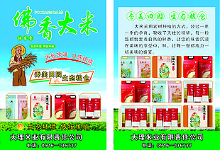 大米彩页宣传单设计