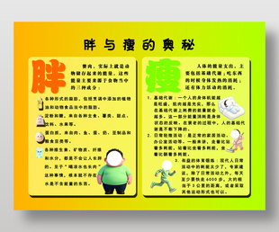 胖与瘦的奥秘健康教育海报设计