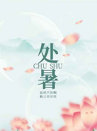 传统处暑节气荷花荷叶弥撒风海报设计