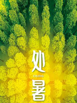 24节气处暑森林全貌背景简约海报设计