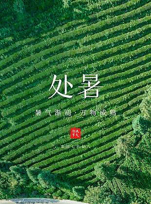 暑气渐褪万物成熟处暑节气高空摄影海报设计