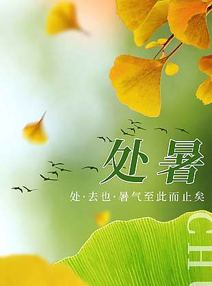 处暑节气宣传银杏叶绿色背景海报