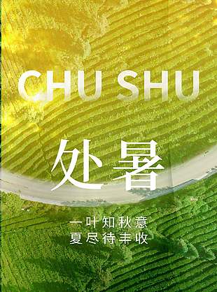 24节气处暑绿植摄影大气海报设计