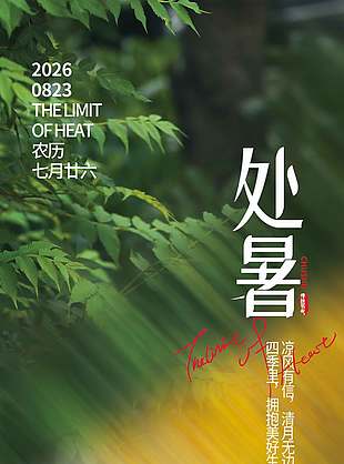季节交替处暑节气夏末初秋海报设计