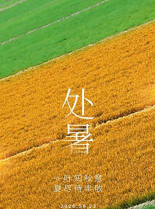 夏尽待丰收处暑节气田野背景海报设计